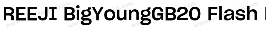 REEJI BigYoungGB20 Flash Medium字体转换